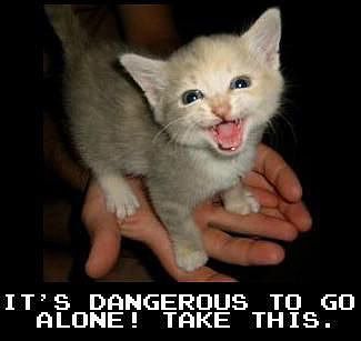 cat-dangerous-jpg.jpg
