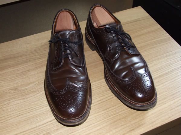 alden_longwings_1.jpg