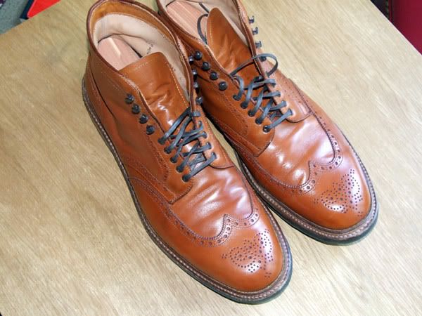 Tan Wing Tips