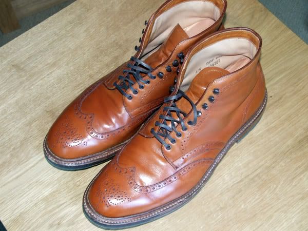 Tan Wing Tips