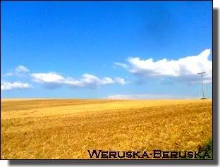 Obrázek “http://i225.photobucket.com/albums/dd11/007wewe007/Fotasdo051.jpg” nelze zobrazit, protože obsahuje chyby. Obrázek “http://i225.photobucket.com/albums/dd11/007wewe007/Fotasdo051.jpg” nelze zobrazit, protože obsahuje chyby.