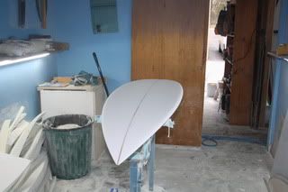 IMG_1069.jpg picture by entitysurf
