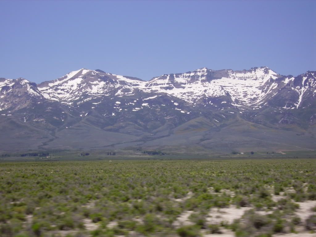 199.jpg