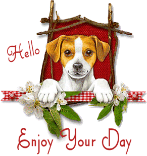  photo enjoy-your-day-puppy-dog2annephilly.gif