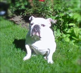 lily22 photo lil_zpsf0e27d28.jpg
