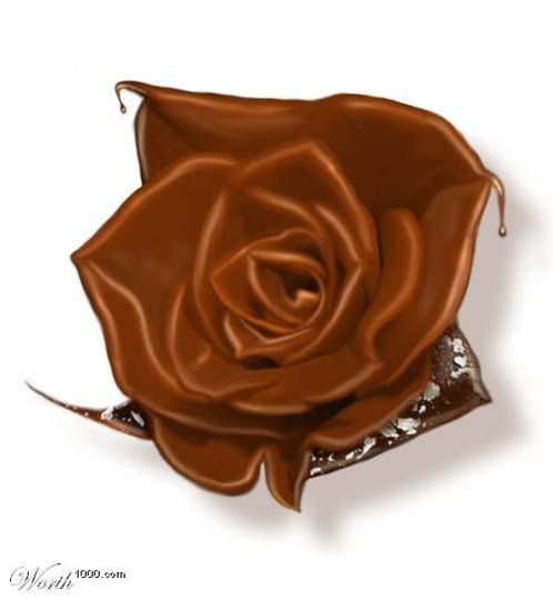 1002885.jpg picture by drzounek