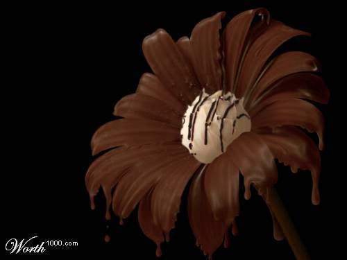 1003139.jpg picture by drzounek