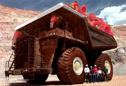 1003633.jpg picture by drzounek