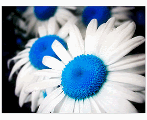 1306963.gif picture by drzounek 1306963.gif picture by drzounek