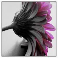 181.jpg picture by drzounek