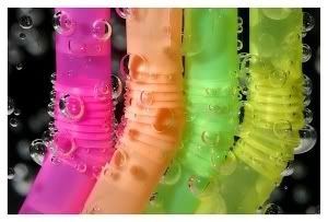 2553501.jpg picture by drzounek