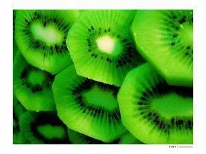 919.jpg picture by drzounek