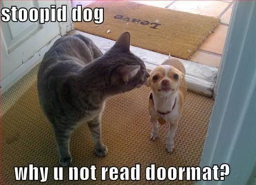 funny doormats. funny-pictures-cat-dog-doormat