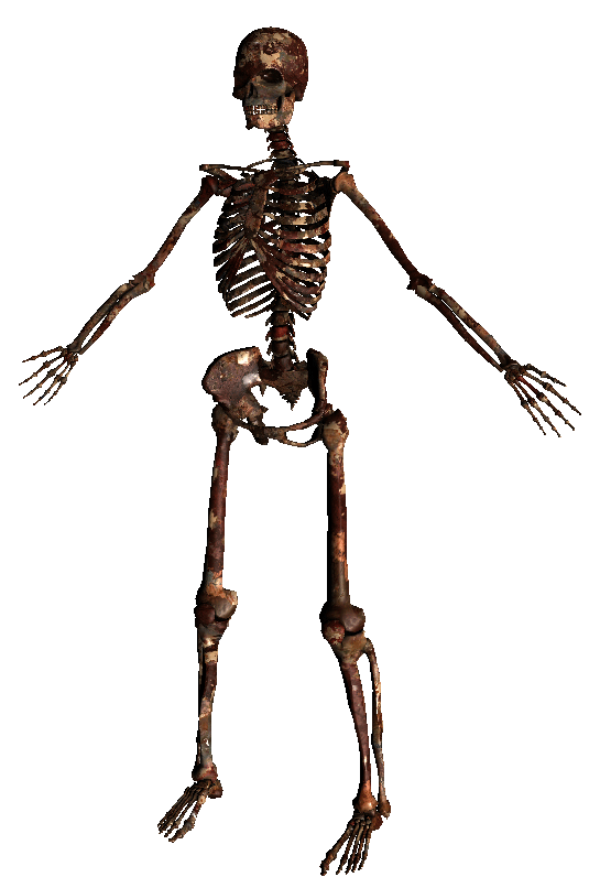 BurntSkeleton01.gif