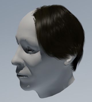 Cage_Hair_01_zps232149dd.jpg