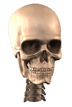 skull.gif