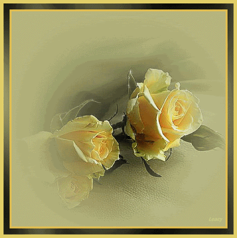 roses photo: Roses YellowRoseFrameWatermark.gif