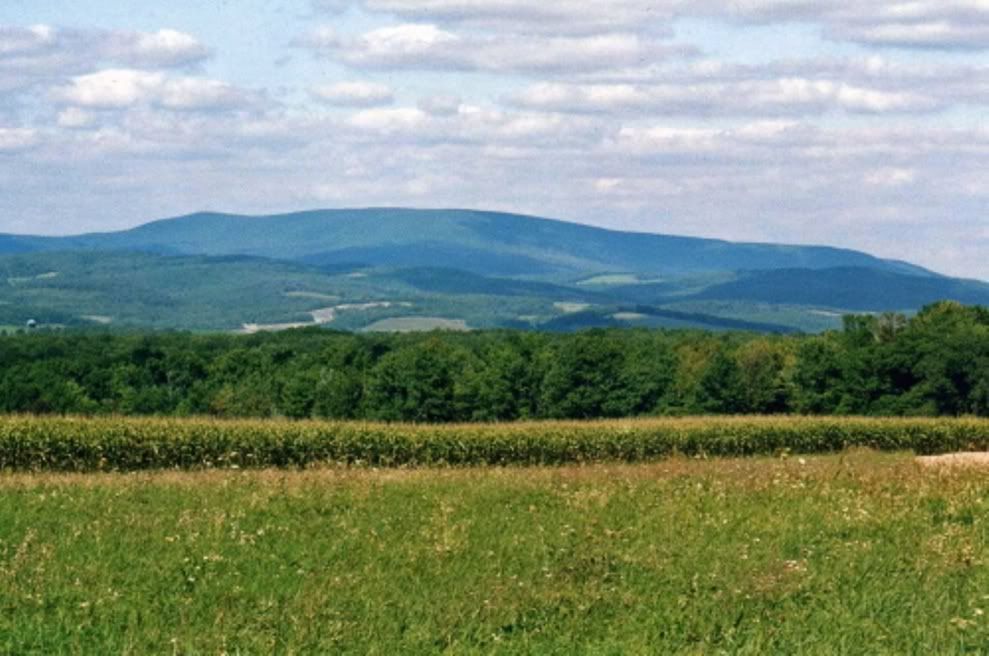 Pittsburgh PICS (live, pictures, winter) Pennsylvania (PA) Page 7