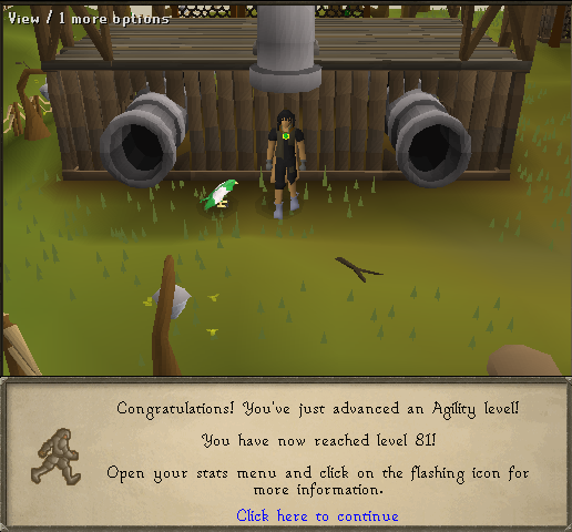 81agility.png