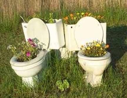 redneckflowerbed.jpg redneck flower bed image by knightnyte2