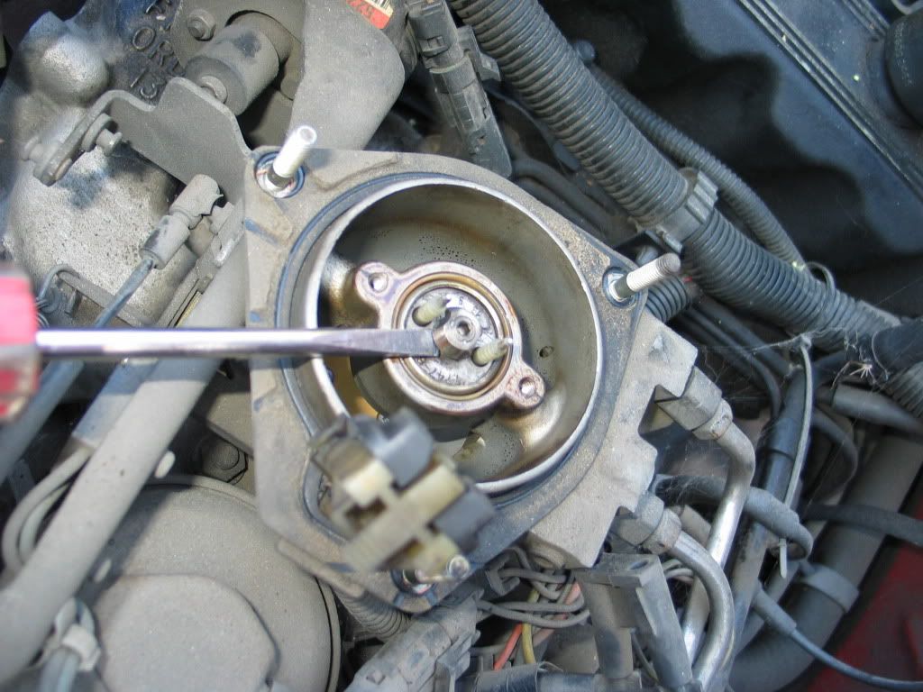 Engine Dies At Idle TeamTalk