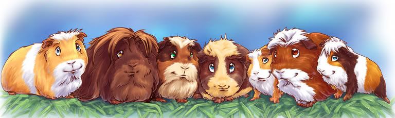 Guinea_Pigs_by_Fany0011-1.jpg picture by Baffy2007