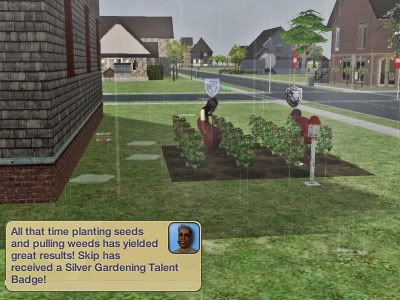 Skip - Silver Gardening
