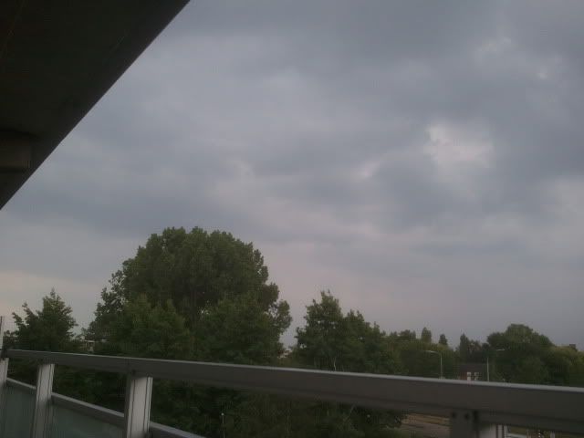 2011-06-10183024.jpg