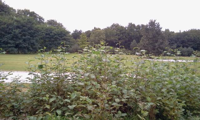 2012-09-21174813_zps28d3bcf2.jpg