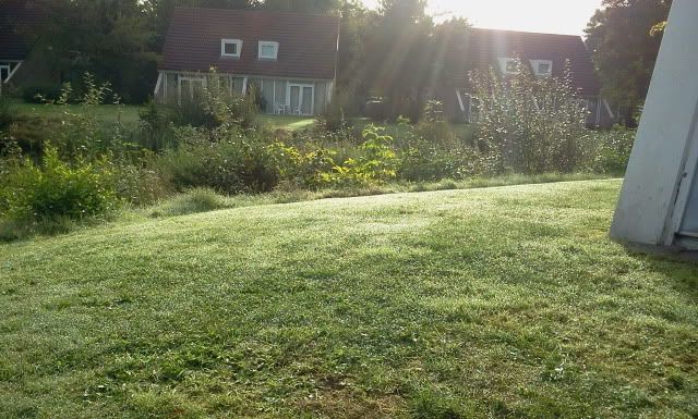 2012-09-23092049_zpsba29f917.jpg
