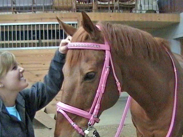 Fancy Horse Bridles