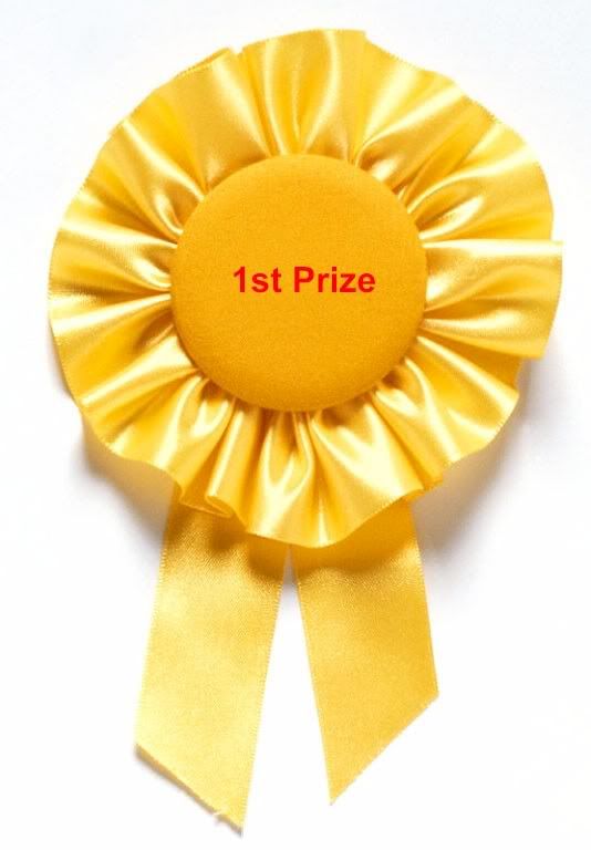 goldribbon1stprize.jpg