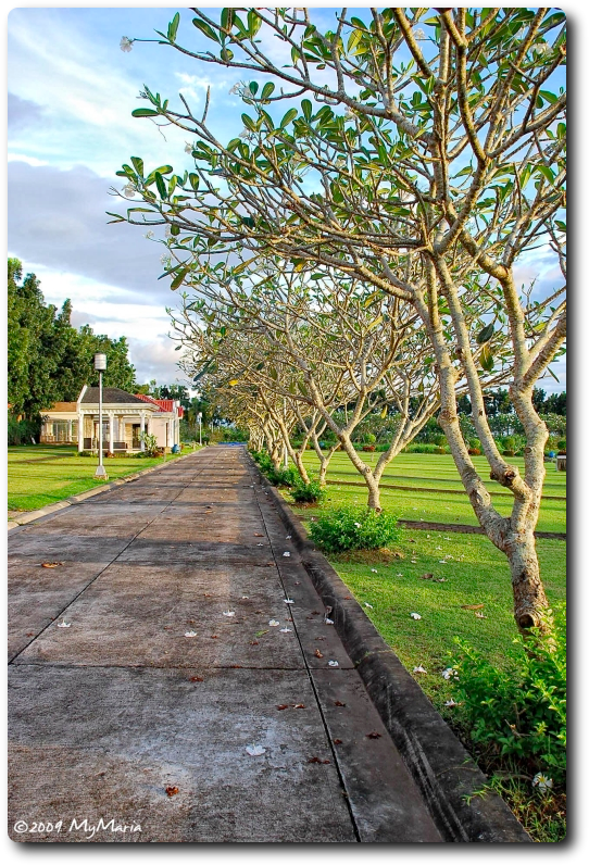 Ormoc Memorial Gardens