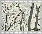 FuneralForAFriend-RosesForTheDead.mp4 video by pornsixth