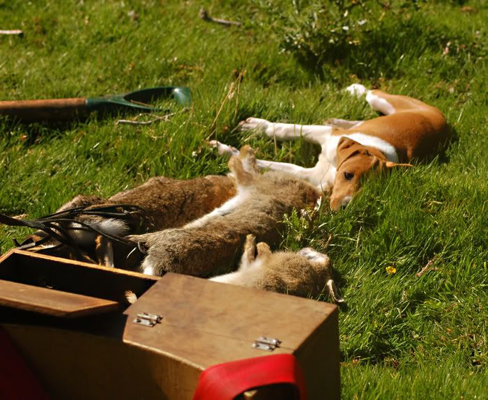 DSC_0333.jpg