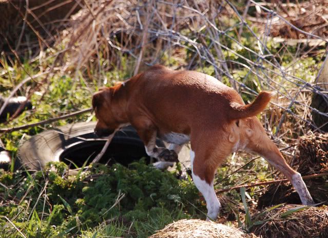 DSC_0173.jpg