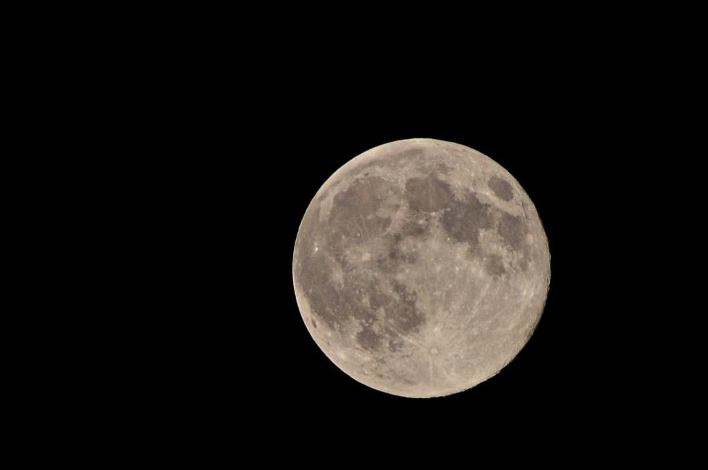 DSC_0950_zps59b2d8dc.jpg