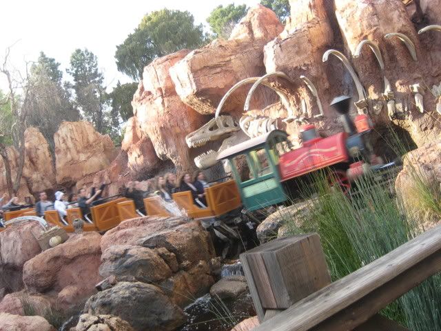 DisneylandFeburary2009015.jpg