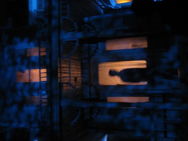 HHN08016.jpg