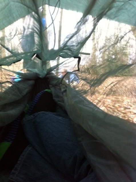 Hammock2.jpg