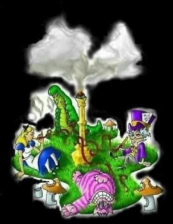 weed.jpg