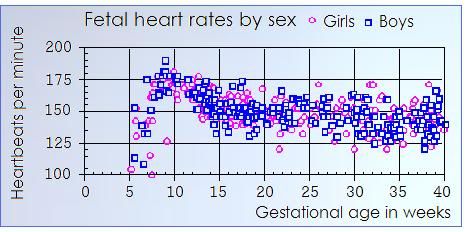 Baby Heart Beat Chart
