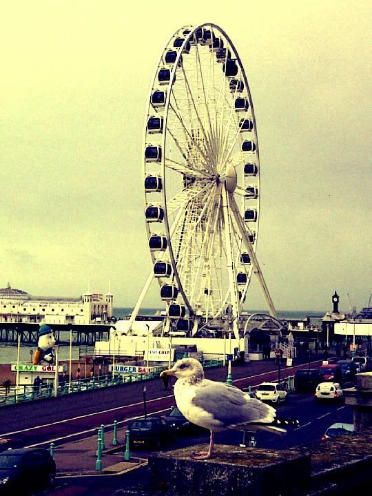 BrightonWheel.jpg