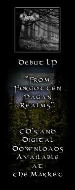 Widget Script 2012 update