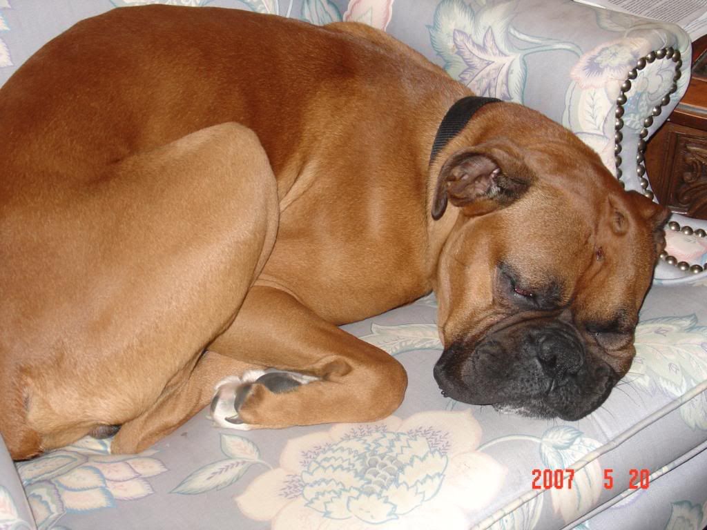 DSC02988.jpg i am tired image by bumperbt