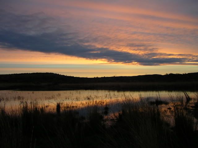 [Linked Image from i225.photobucket.com]