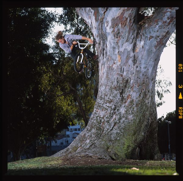 Aaron Bostrom BMX