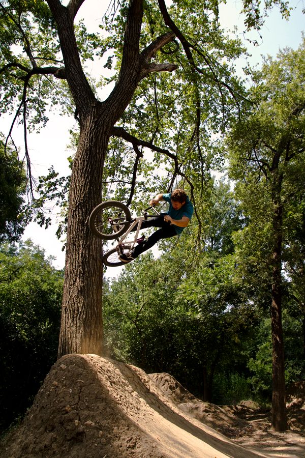 Dylan Smith BMX