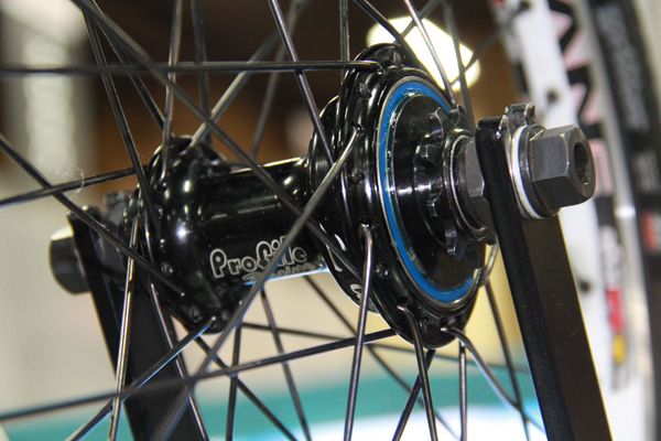 photo IMG_0515_zps844768f6.jpg