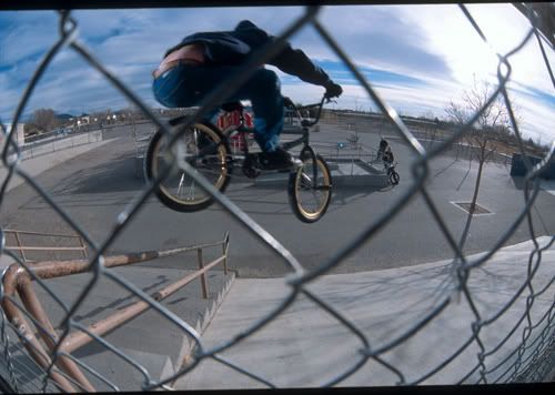 John Povah BMX